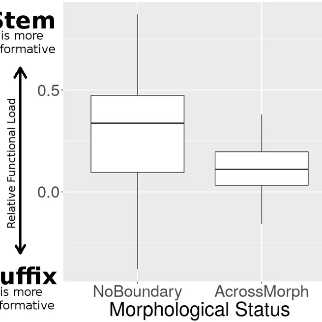 Relative functional load determines co-articulatory movements of the tongue tip