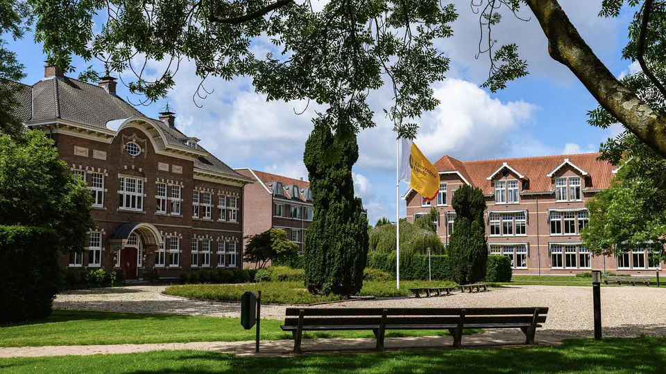 Predicting compound branching directions with distributional semantics