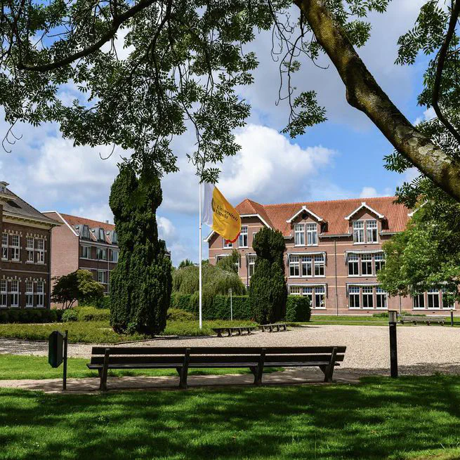 Predicting compound branching directions with distributional semantics